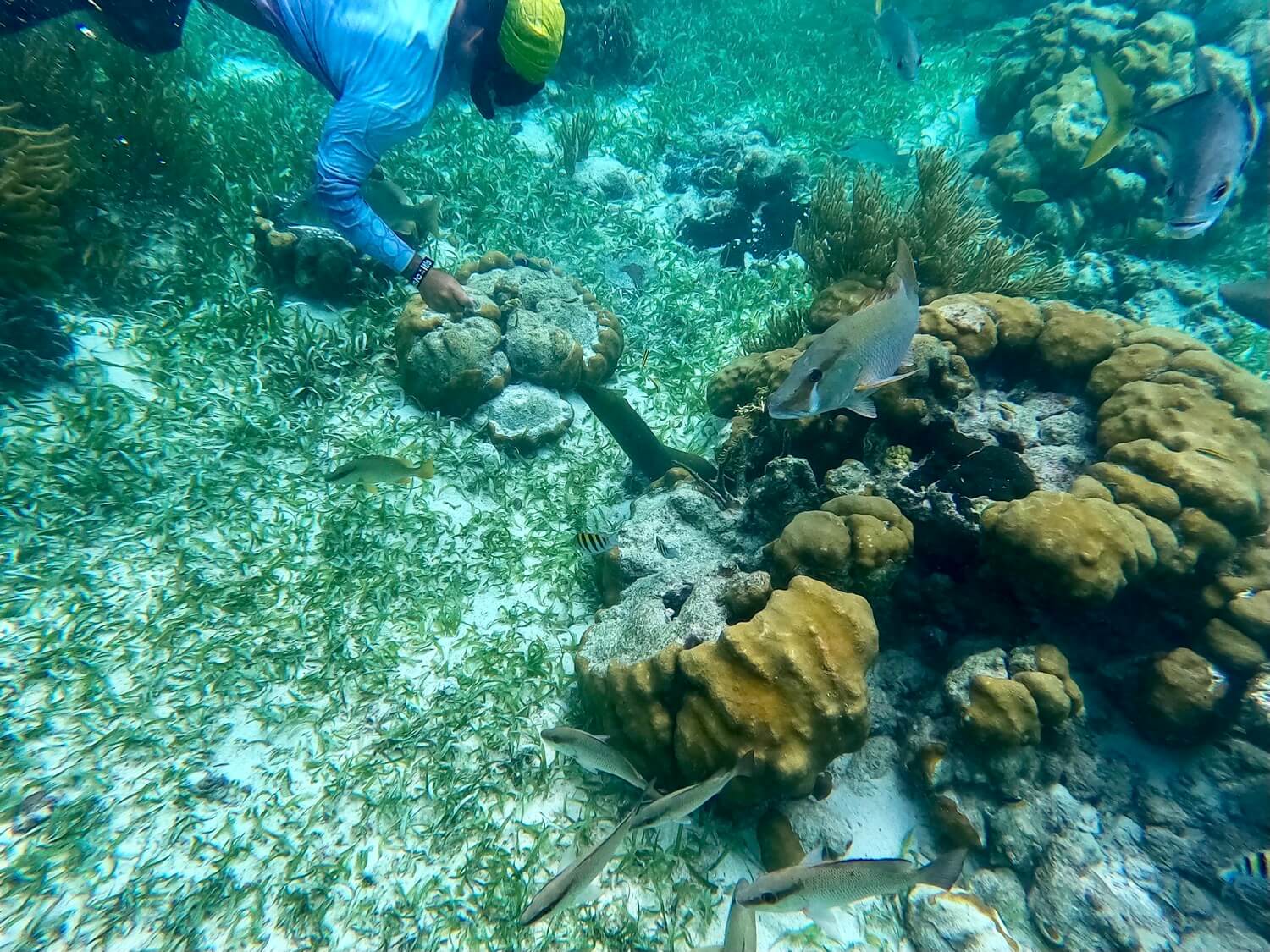 Is Belize Really That Unbelizeable? - Travel 80 by 80